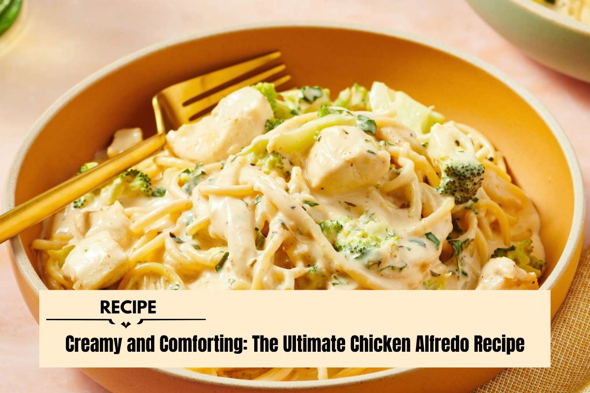 Creamy and Comforting The Ultimate Chicken Alfredo Recipe